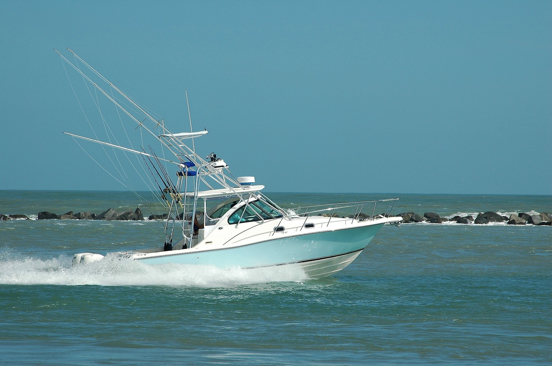 Sportfish